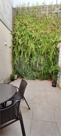 Foto REO1134998