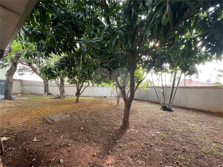 Foto REO1135013