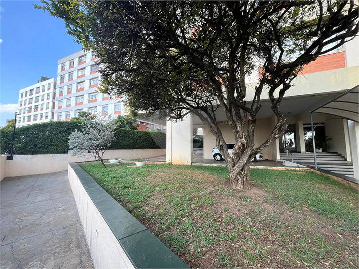 Foto REO1135013