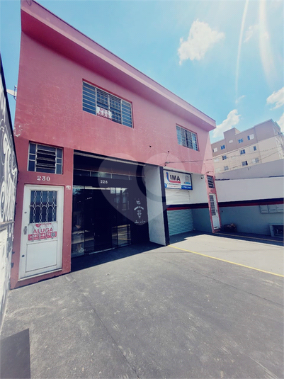 Foto REO1135021