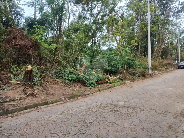 Foto REO1135044