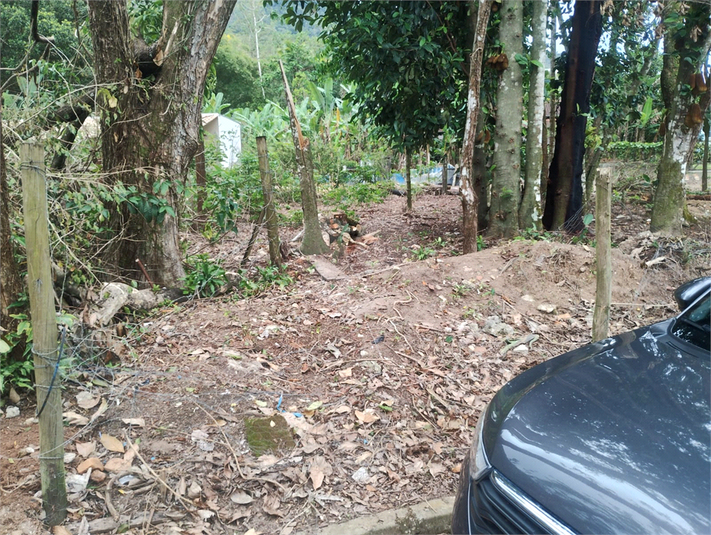 Foto REO1135044