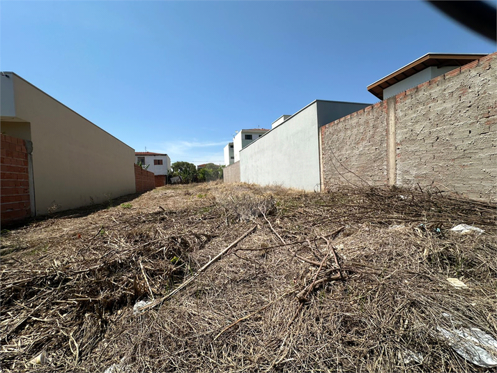 Foto REO1135045