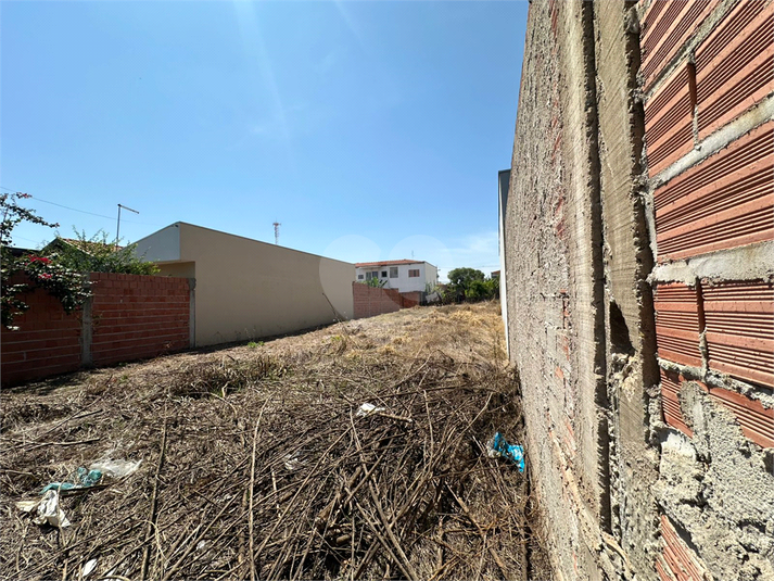 Foto REO1135045