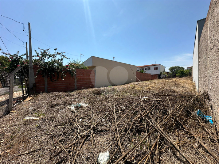 Foto REO1135045