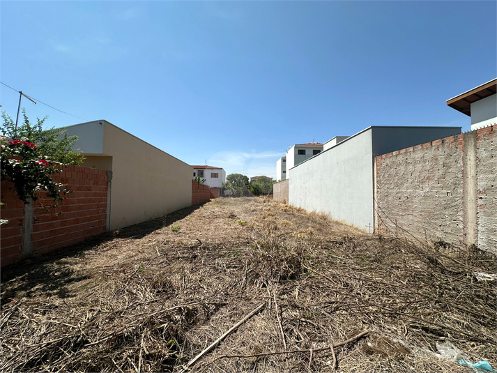 Foto REO1135045