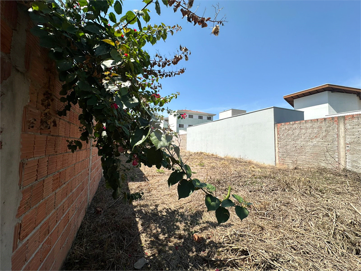 Foto REO1135045