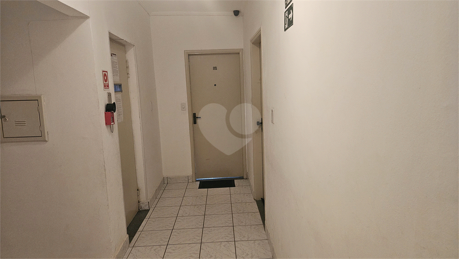 Foto REO1135057