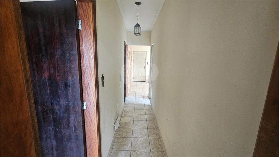 Foto REO1135057