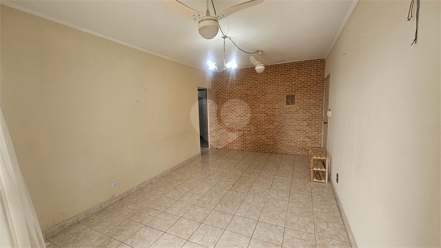 Foto REO1135057