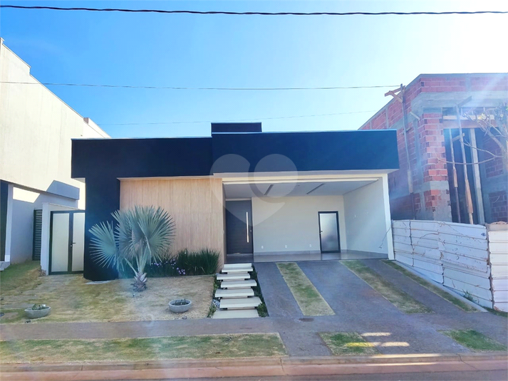 Foto REO1135058