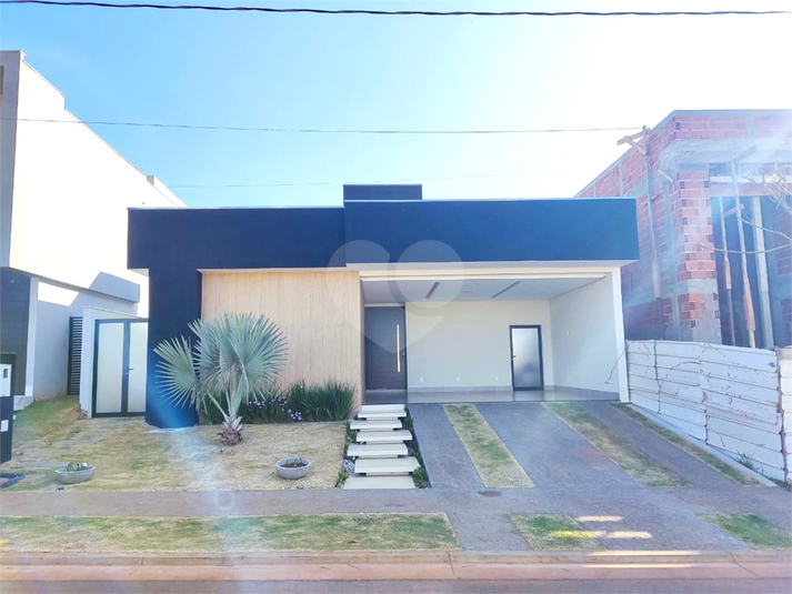 Foto REO1135058