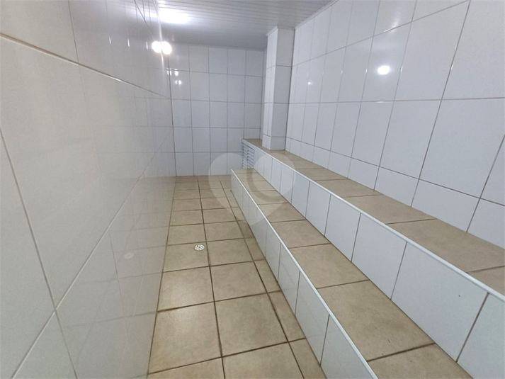 Foto REO1135066