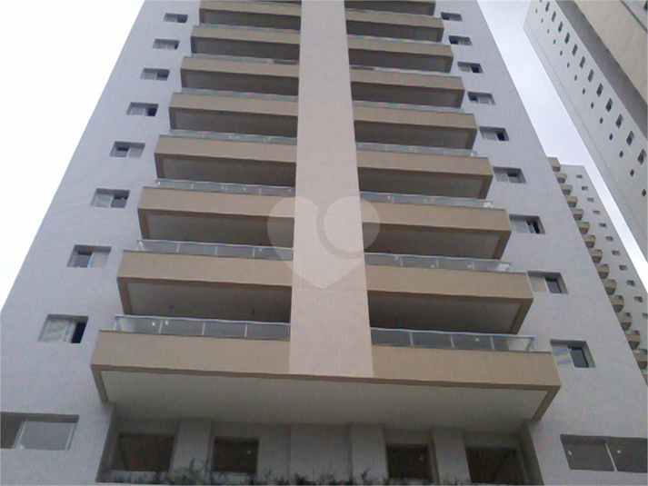 Foto REO1135069