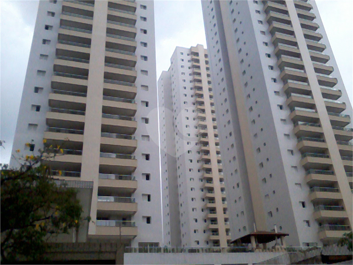 Foto REO1135069