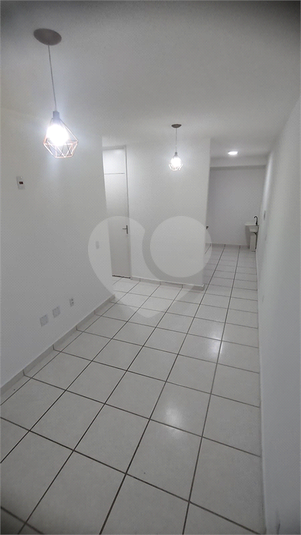 Foto REO1135070