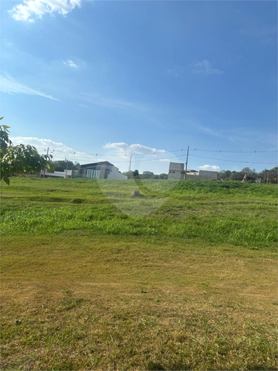 Foto REO1135086