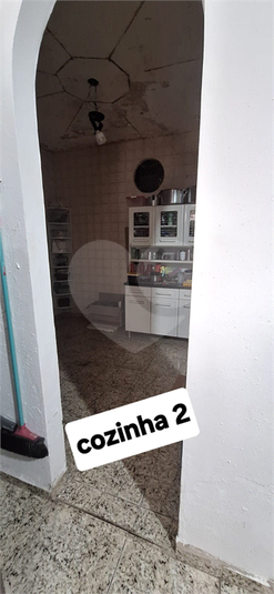 Foto REO1135087