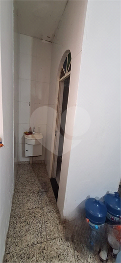 Foto REO1135087