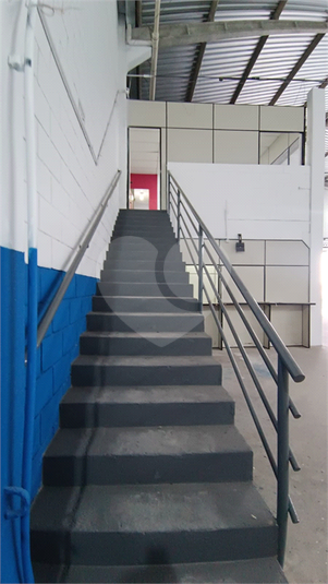 Foto REO1135088