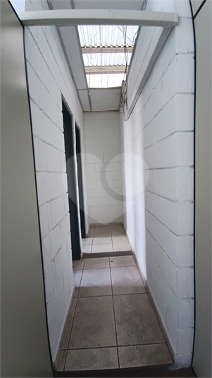 Foto REO1135088