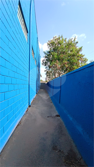 Foto REO1135088