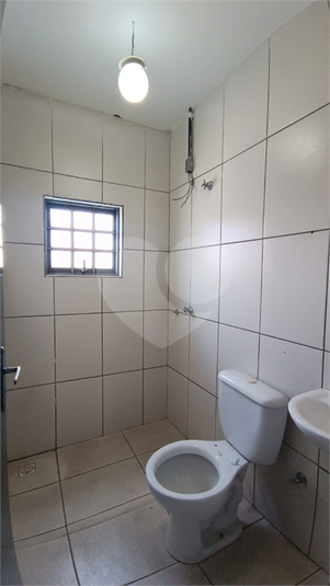 Foto REO1135088