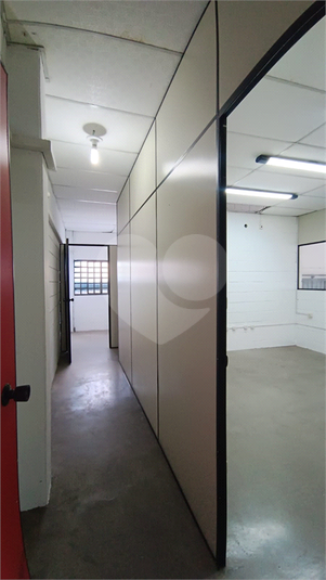 Foto REO1135088