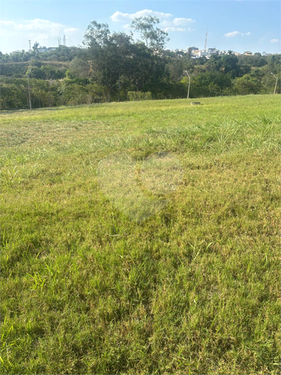 Foto REO1135091