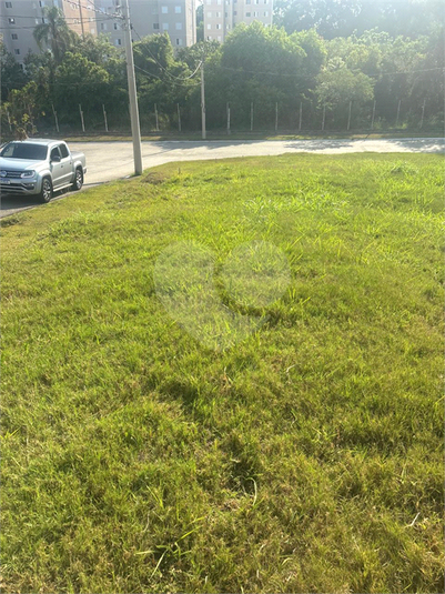 Foto REO1135091