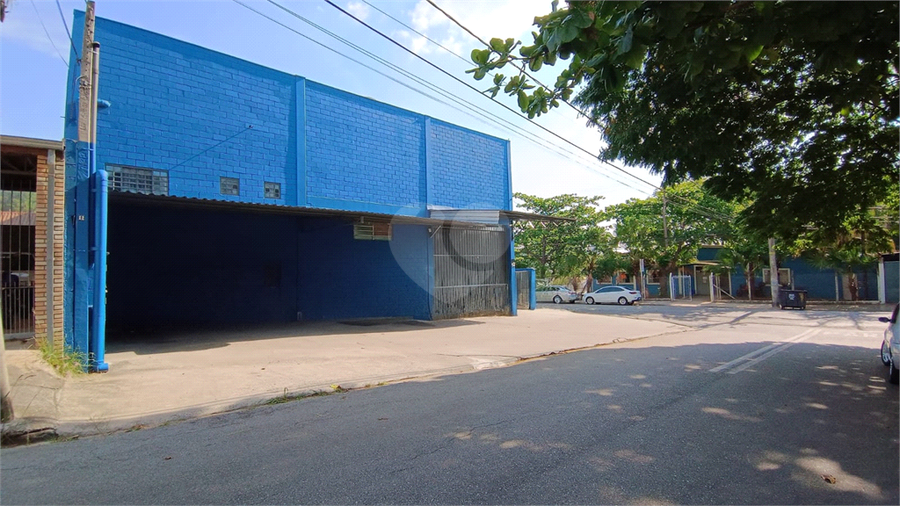 Foto REO1135099