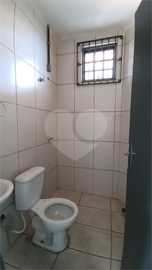 Foto REO1135099