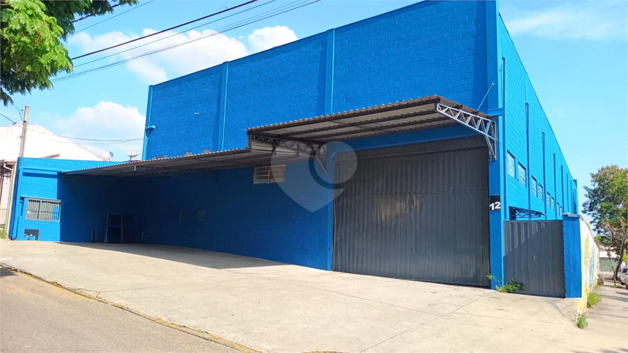 Foto REO1135099