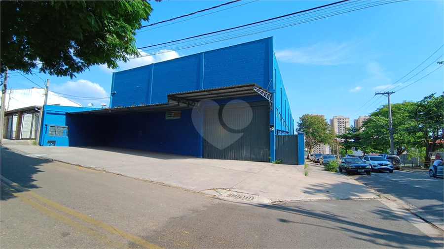 Foto REO1135099