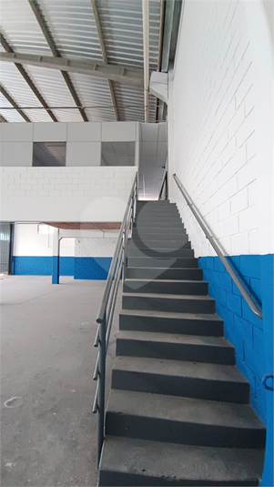 Foto REO1135099
