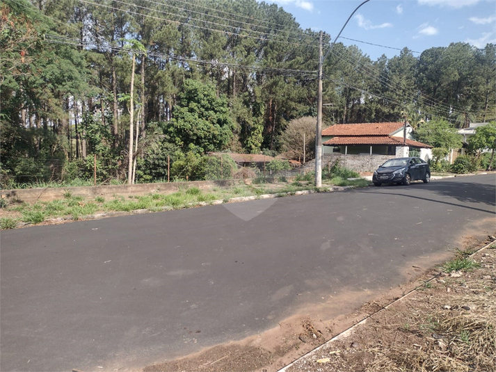 Foto REO1135108