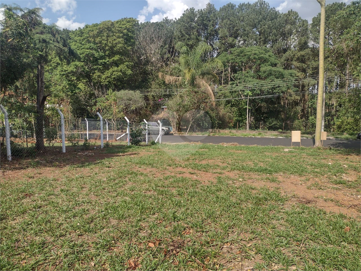 Foto REO1135108