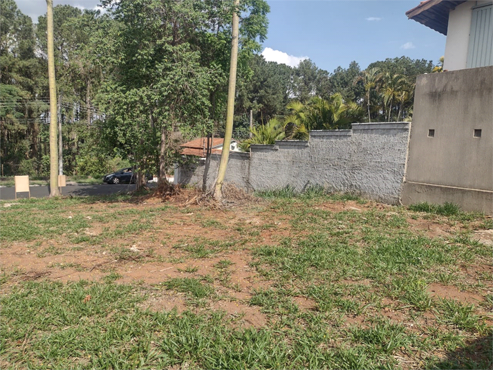 Foto REO1135108
