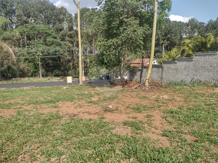 Foto REO1135108
