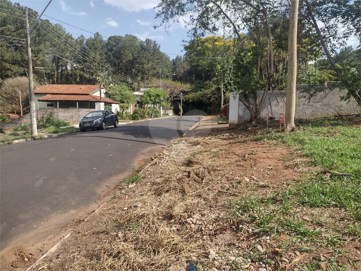 Foto REO1135108