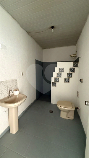 Foto REO1135128