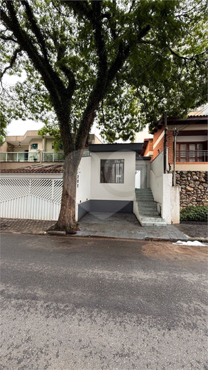 Foto REO1135128