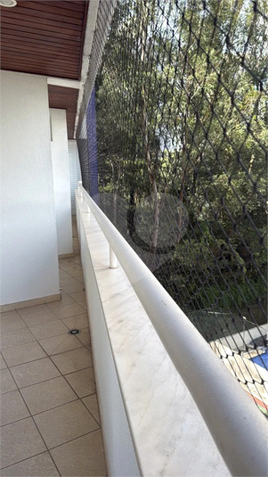 Foto REO1135145