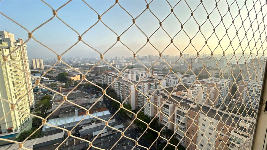 Foto REO1135149