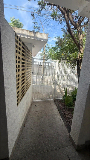 Foto REO1135150