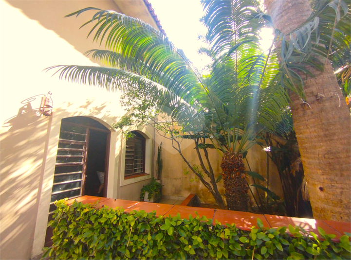 Foto REO1135160