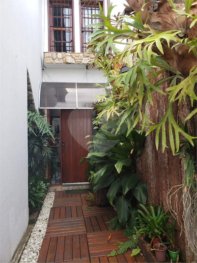 Foto REO1135168