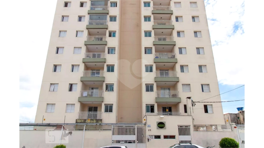 Foto REO1135176