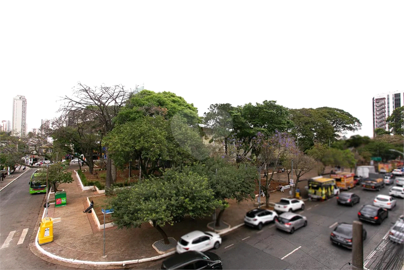 Foto REO1135188