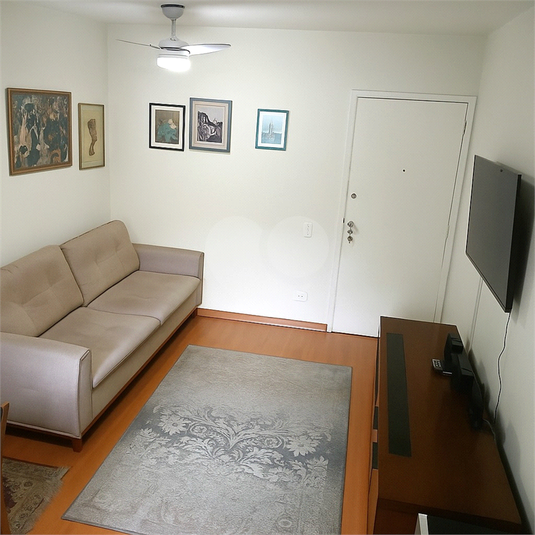 Foto REO1135193
